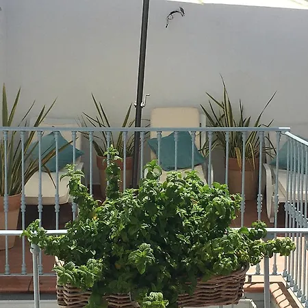 Apartment Palacio Del Marques *